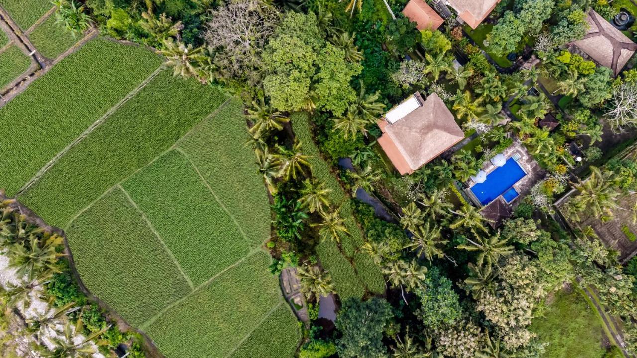 Hotel Alam Shanti Ubud Exterior foto